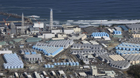Fukushima Nuclear Disaster
